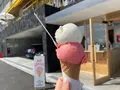 HOLIDAY ICE CREAM STORE (ホリデーアイスクリームストア)の写真_511990