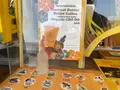 サンライズシャック 稲村ヶ崎本店（The Sunrise Shack  INAMURA Beach & Park）の写真_512001
