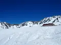 雪の大谷の写真_512180