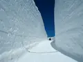 雪の大谷の写真_512183