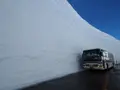 雪の大谷の写真_512184