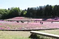 羊山公園の写真_512449