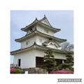 丸亀城の写真_513149