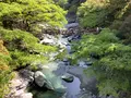 祖谷のかずら橋の写真_513154