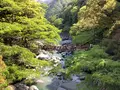 祖谷のかずら橋の写真_513155