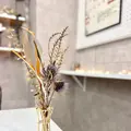 レラボ+SPCAFEの写真_513255