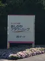 あしかがフラワーパークの写真_513311