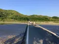 佐田沈下橋の写真_513603
