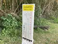 佐田沈下橋の写真_513606