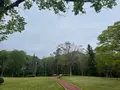 那須高原SA (下り)の写真_513751