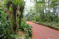 ナゴパイナップルパークの写真_513833