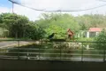 ネオパークオキナワの写真_513854