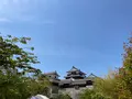 松山城の写真_513894