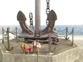 臨港パークの写真_51408