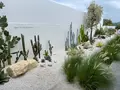 Palm Springs Cafeの写真_514202