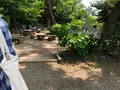 源氏山公園の写真_514221
