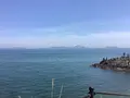 SAKURAGUMI （サクラグミ）の写真_514702