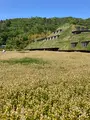 ラコリーナ近江八幡の写真_514781