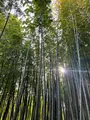 小田原文化財団 江之浦測候所の写真_514919