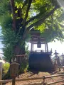 北向観音の写真_514990