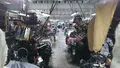 玉木新雌の写真_516331