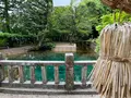 別府弁天池の写真_517300