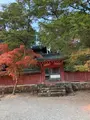 神護寺の写真_517488