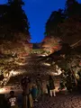 神護寺の写真_517489