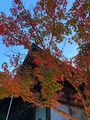 神護寺の写真_517491