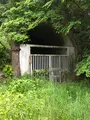 水の広場の写真_518921