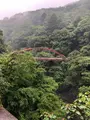 水の広場の写真_518922