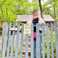リトルパインログキャビンの写真_519125