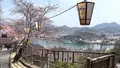 千光寺公園の写真_519226