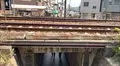千光寺公園の写真_519233
