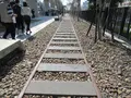 緑空鉄道1908の写真_519243