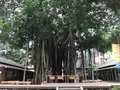 台中文学館の写真_519255
