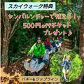 ヤンバルンチャー 名護店の写真_520335