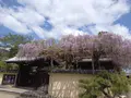 當麻寺中之坊の写真_520424