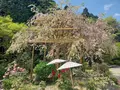 當麻寺中之坊の写真_520427