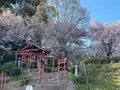 安倍文殊院の写真_520432