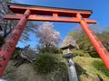 安倍文殊院の写真_520436