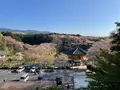 安倍文殊院の写真_520444