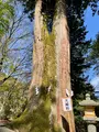 談山神社の写真_520463