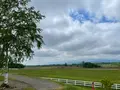 新栄の丘 展望公園の写真_521537