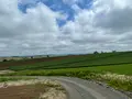 パッチワークの路の写真_521621