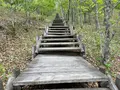 釧路湿原国立公園の写真_522321