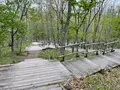 釧路湿原国立公園の写真_522322