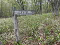 はばたき広場の写真_522335