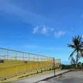 Paseo de Susana Park（パセオ公園）の写真_522422
