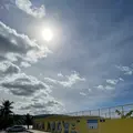Paseo de Susana Park（パセオ公園）の写真_522423